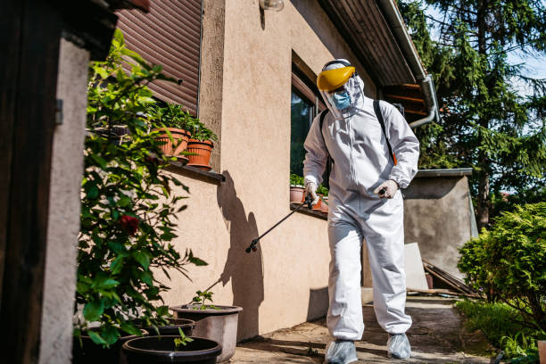 Best Spider Control Near Me  in Fairfield University, CT