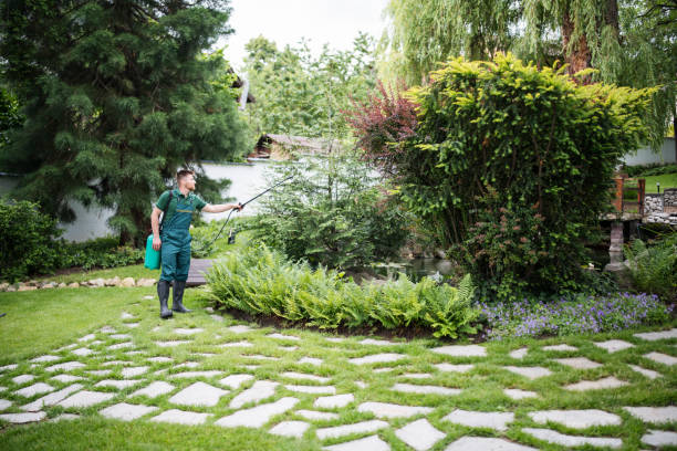 Flea Control Services in Fairfield University, CT
