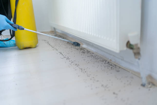 Best Best Pest Control Companies  in Fairfield University, CT