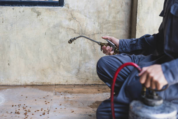 Best Exterminator Services  in Fairfield University, CT